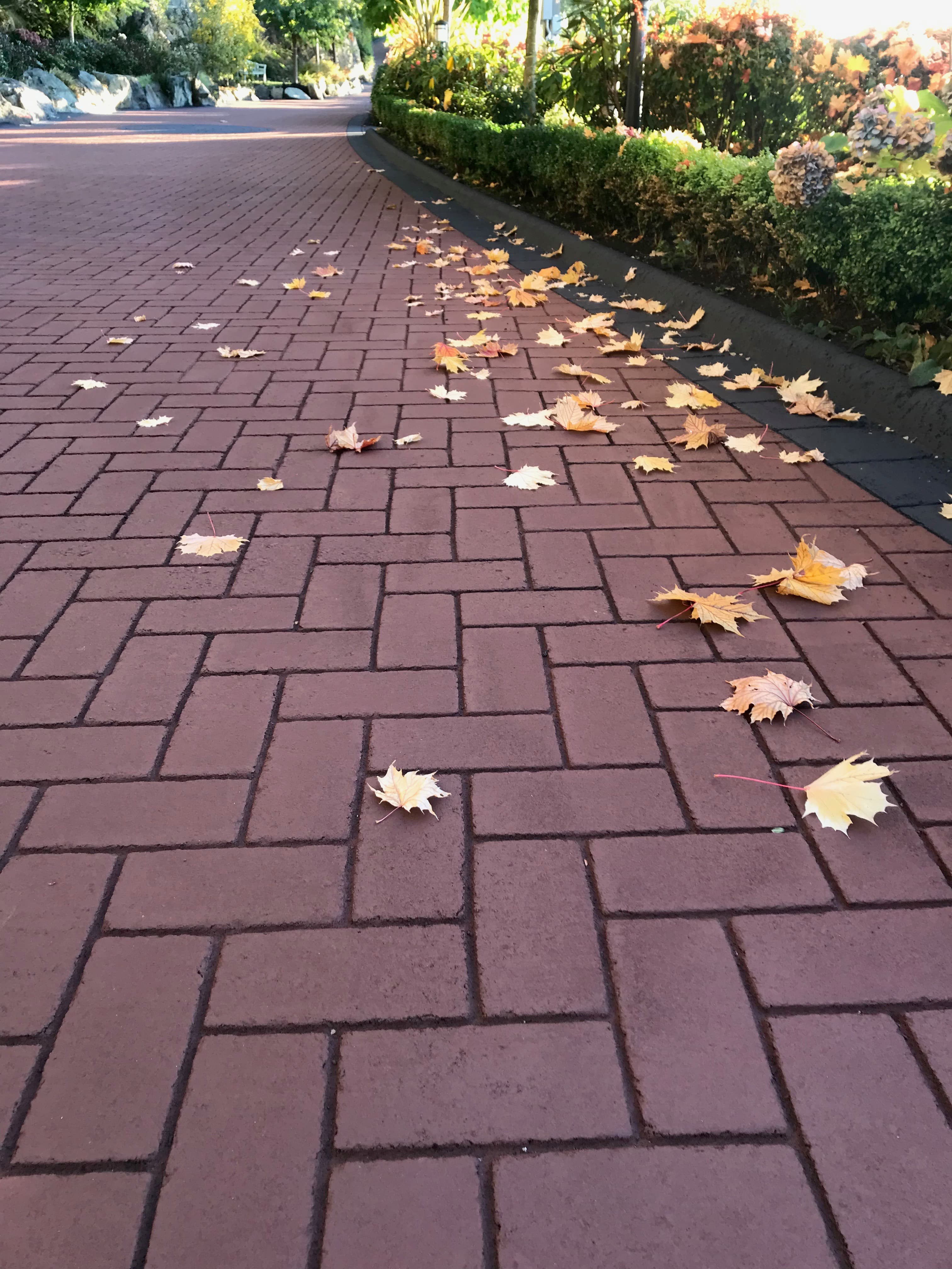 Residential Driveways surface systems by HUB — Canadian installation — installation photo 4