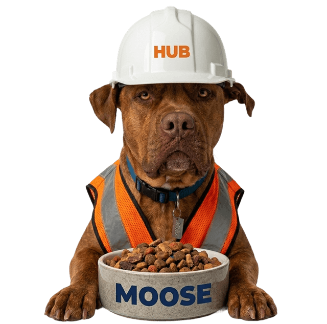 Moose, the HUB Surface Systems site dog, in a hard hat and safety vest — book a Lunch & Learn