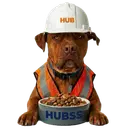 Moose, the HUB Surface Systems site dog, in his hard hat and safety vest